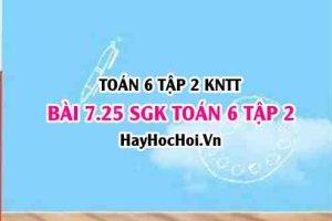 Bài 7.25 SGK Toán 6 tập 2 Kết nối tri thức